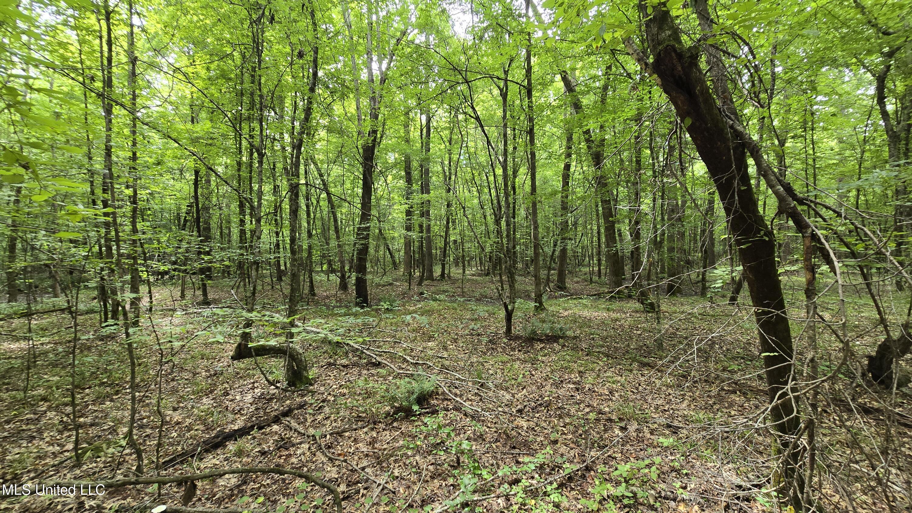 Pearson Road Stewart, MS 39767 - Photo 35 of 44 20250703_143317