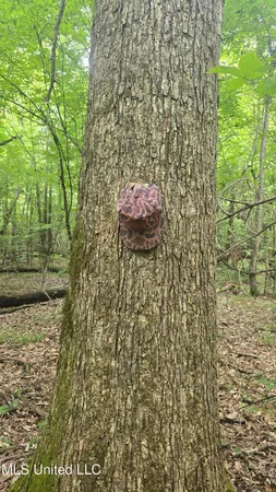 $86,400 | Pearson Road, Stewart, MS 39767