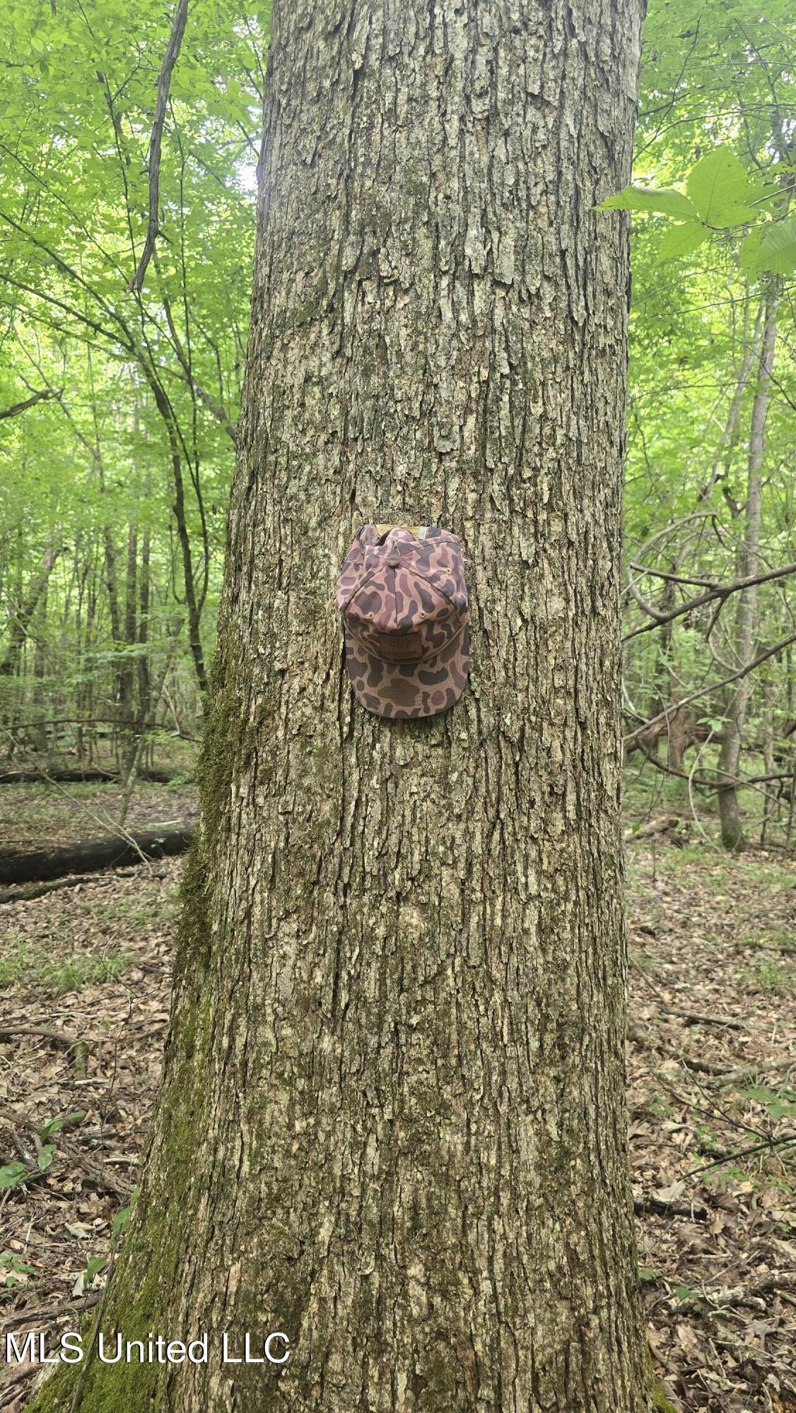 Pearson Road Stewart, MS 39767 - Photo 36 of 44 20250703_144034