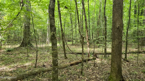 $86,400 | Pearson Road, Stewart, MS 39767