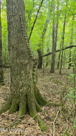 $86,400 | Pearson Road, Stewart, MS 39767