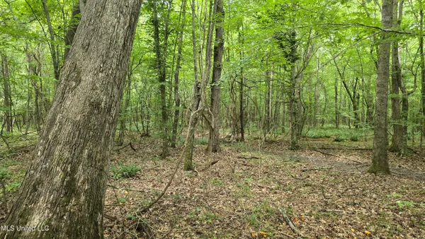 $86,400 | Pearson Road, Stewart, MS 39767