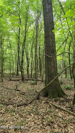 $86,400 | Pearson Road, Stewart, MS 39767