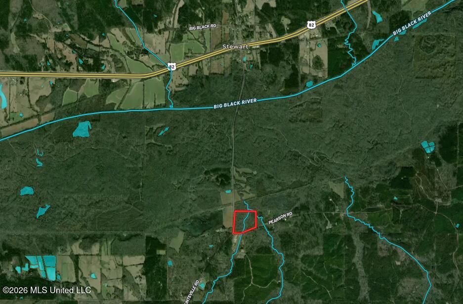 Pearson Road Stewart, MS 39767 - Photo 42 of 44 Aerial Map 2