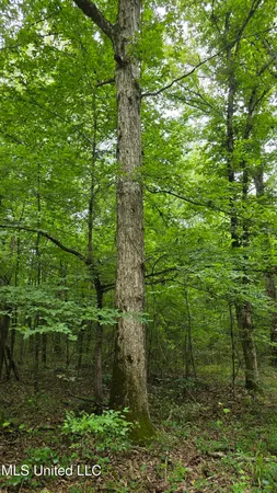 $86,400 | Pearson Road, Stewart, MS 39767