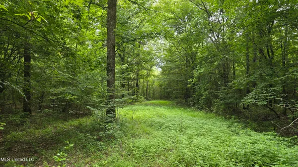 $86,400 | Pearson Road, Stewart, MS 39767