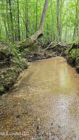 $86,400 | Pearson Road, Stewart, MS 39767