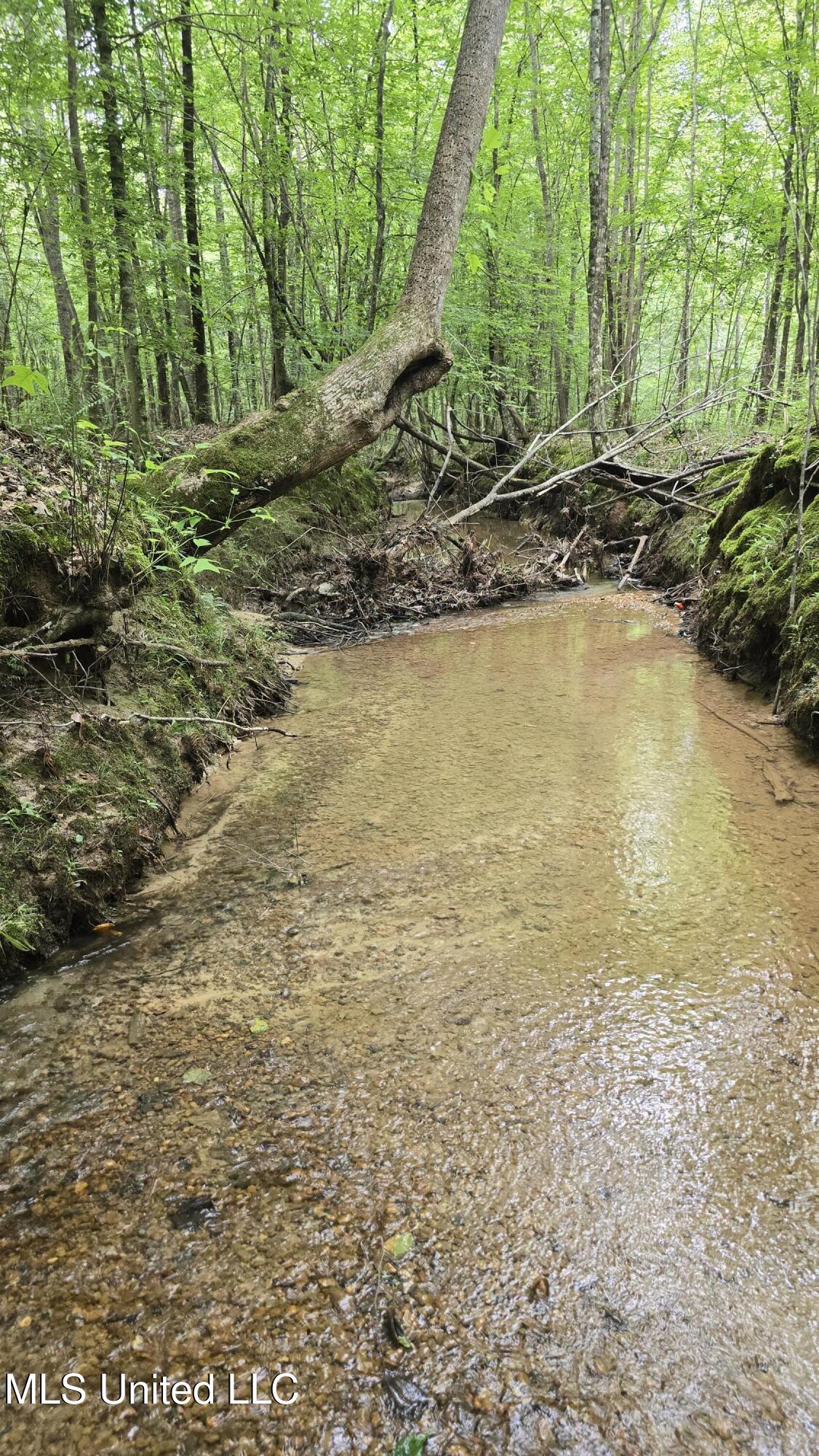 Pearson Road Stewart, MS 39767 - Photo 7 of 44 20250703_144743