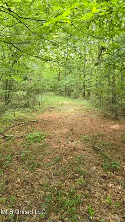 $86,400 | Pearson Road, Stewart, MS 39767