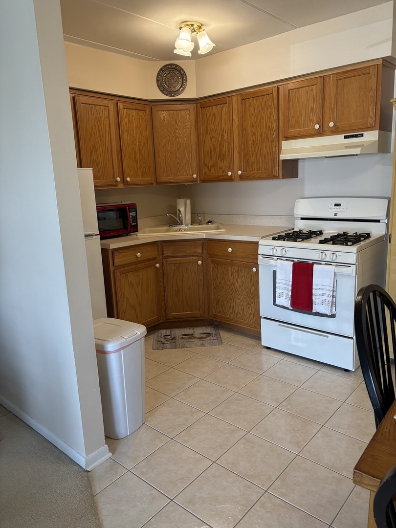 11000 Central Avenue, Unit 1A Chicago Ridge, IL 60415 - Photo 4 of 9