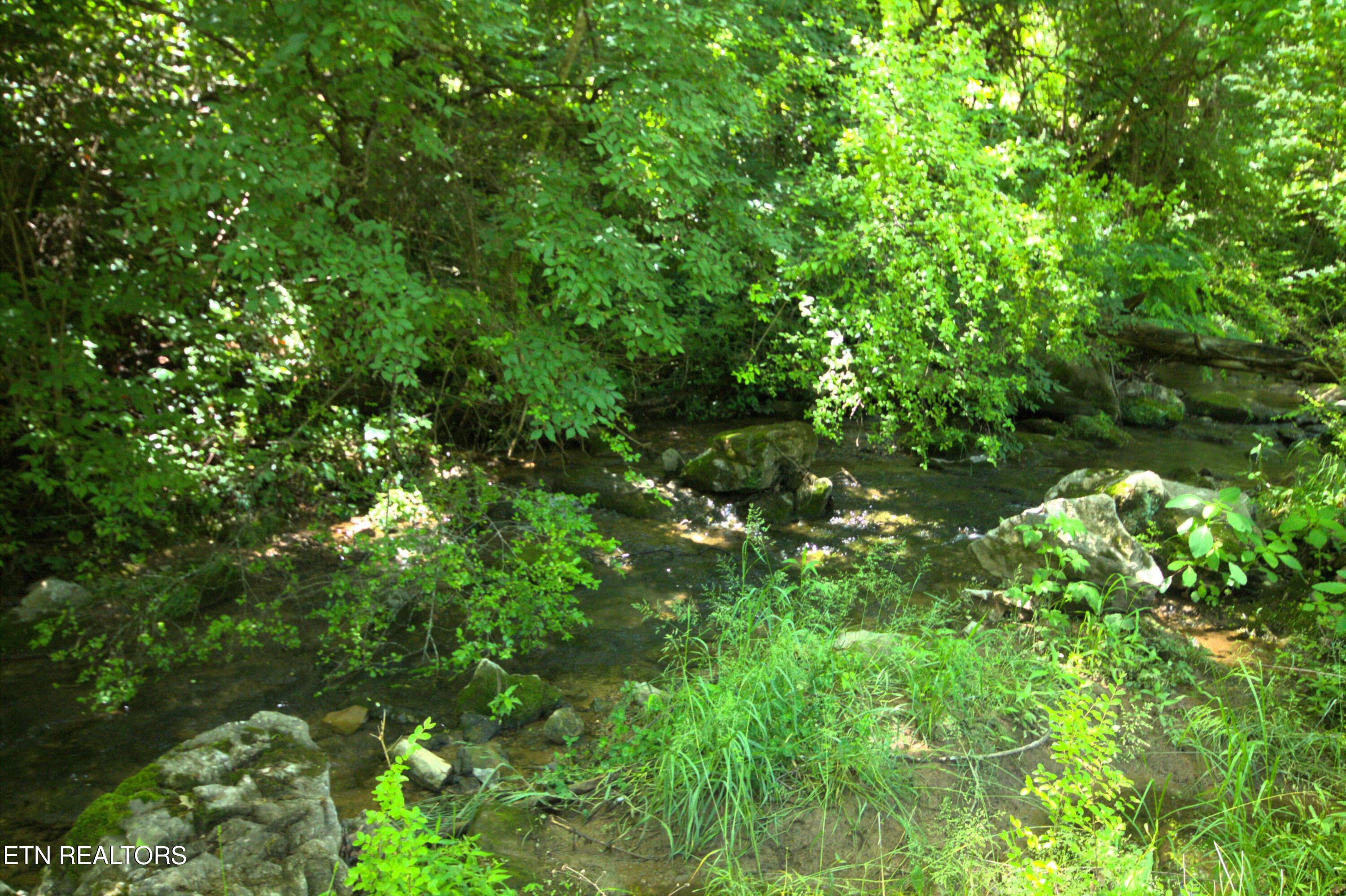 724 Lower Quarry Road Newport, TN 37821 - Photo 16 of 18 Creek on property