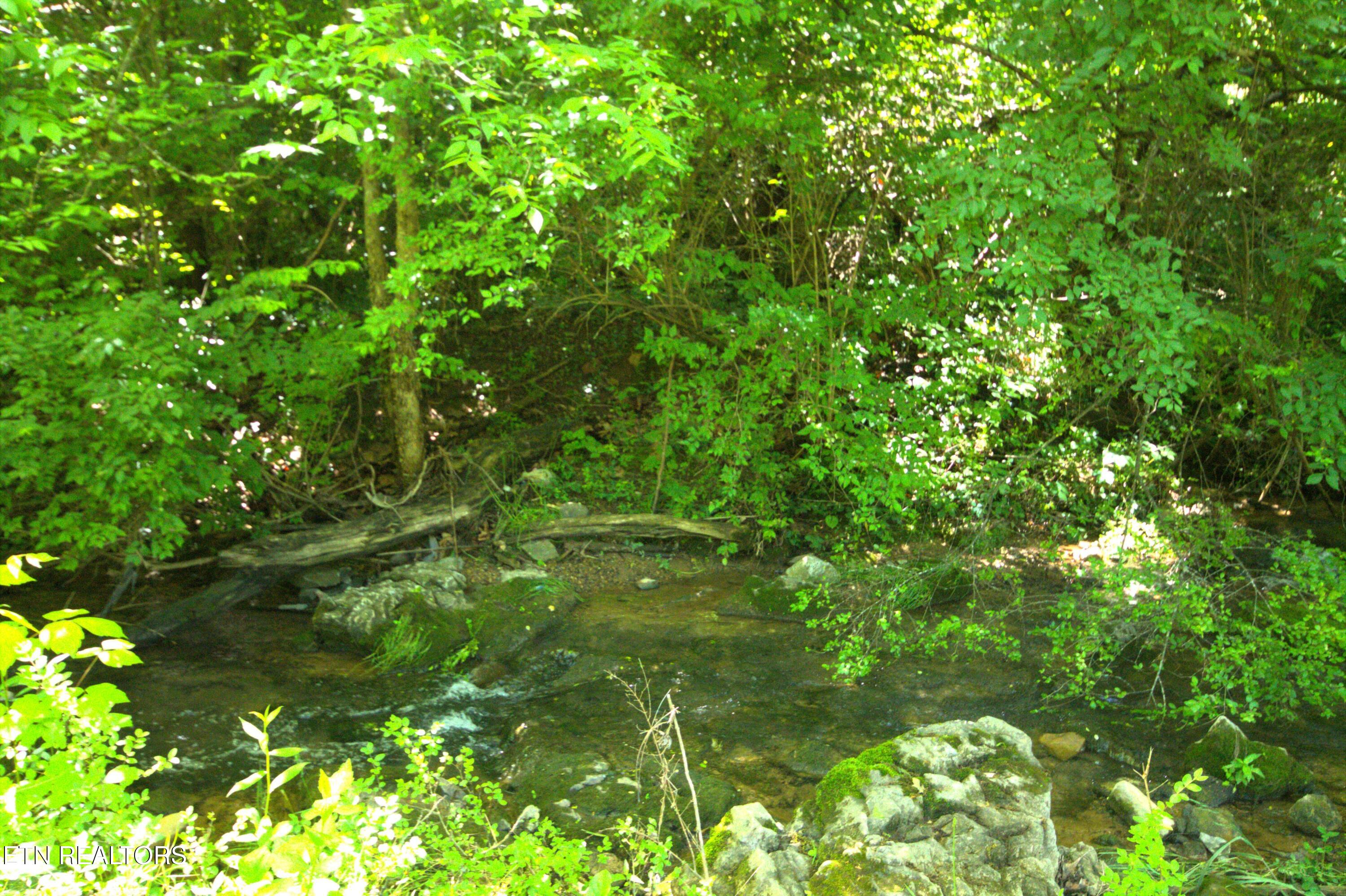 724 Lower Quarry Road Newport, TN 37821 - Photo 17 of 18 Creek