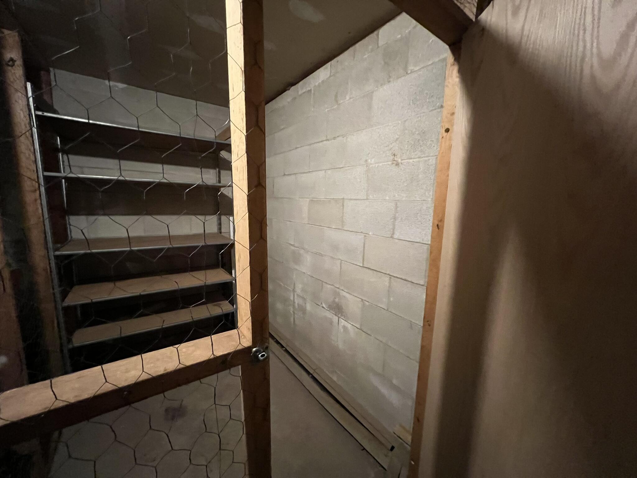 255 Elmwood Avenue, Unit 309 Lake Geneva, WI 53147 - Photo 16 of 19 Basement Storage