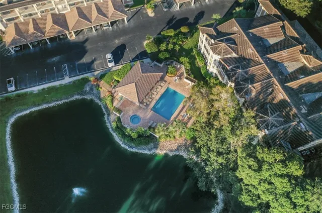 a view of a garden with a plant