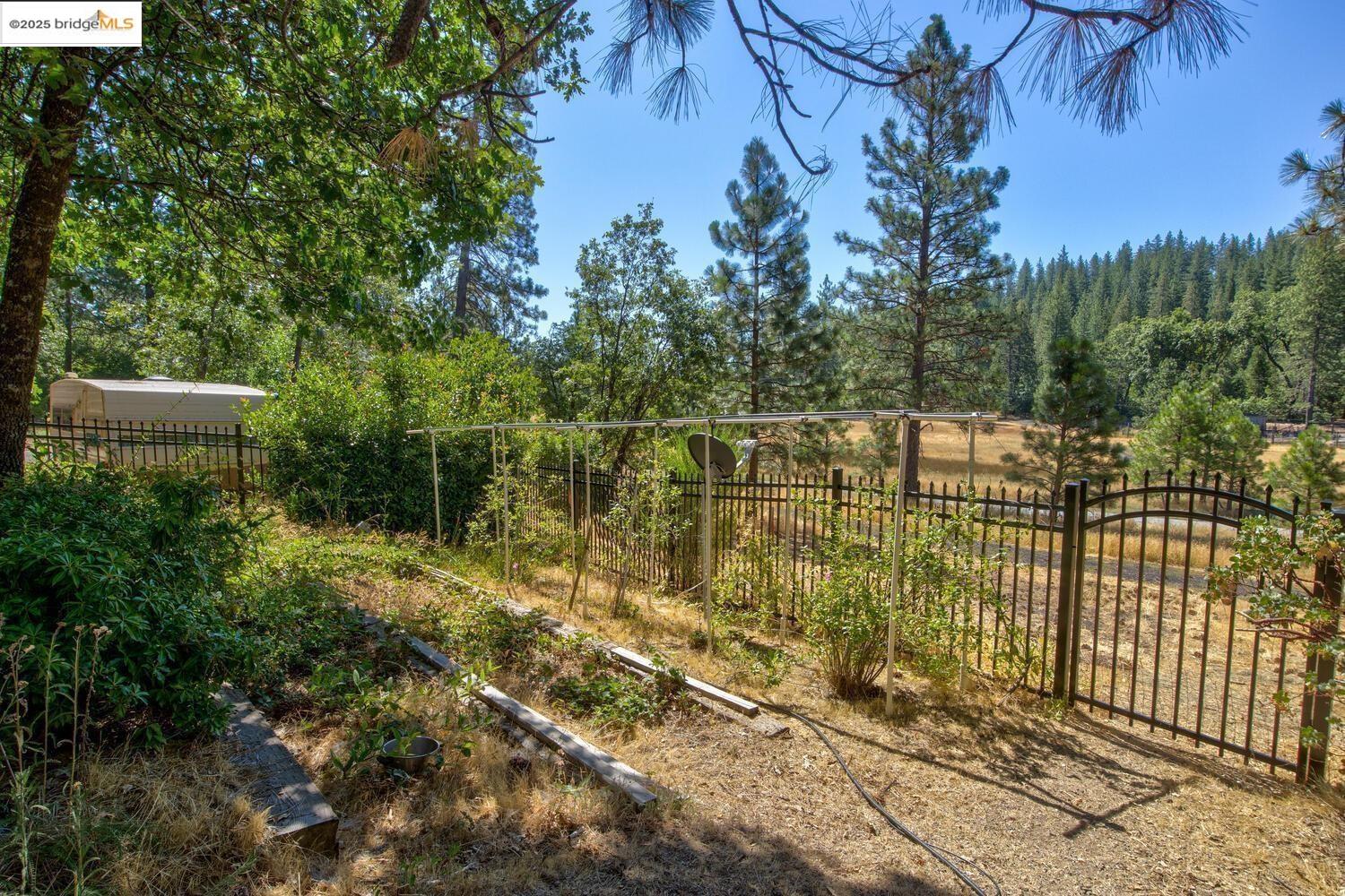 105 Avery Sheep Ranch Road Avery, CA 95224 - Photo 11 of 59