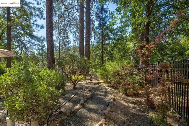 $529,000 | 105 Avery Sheep Ranch Road, Avery, CA 95224
