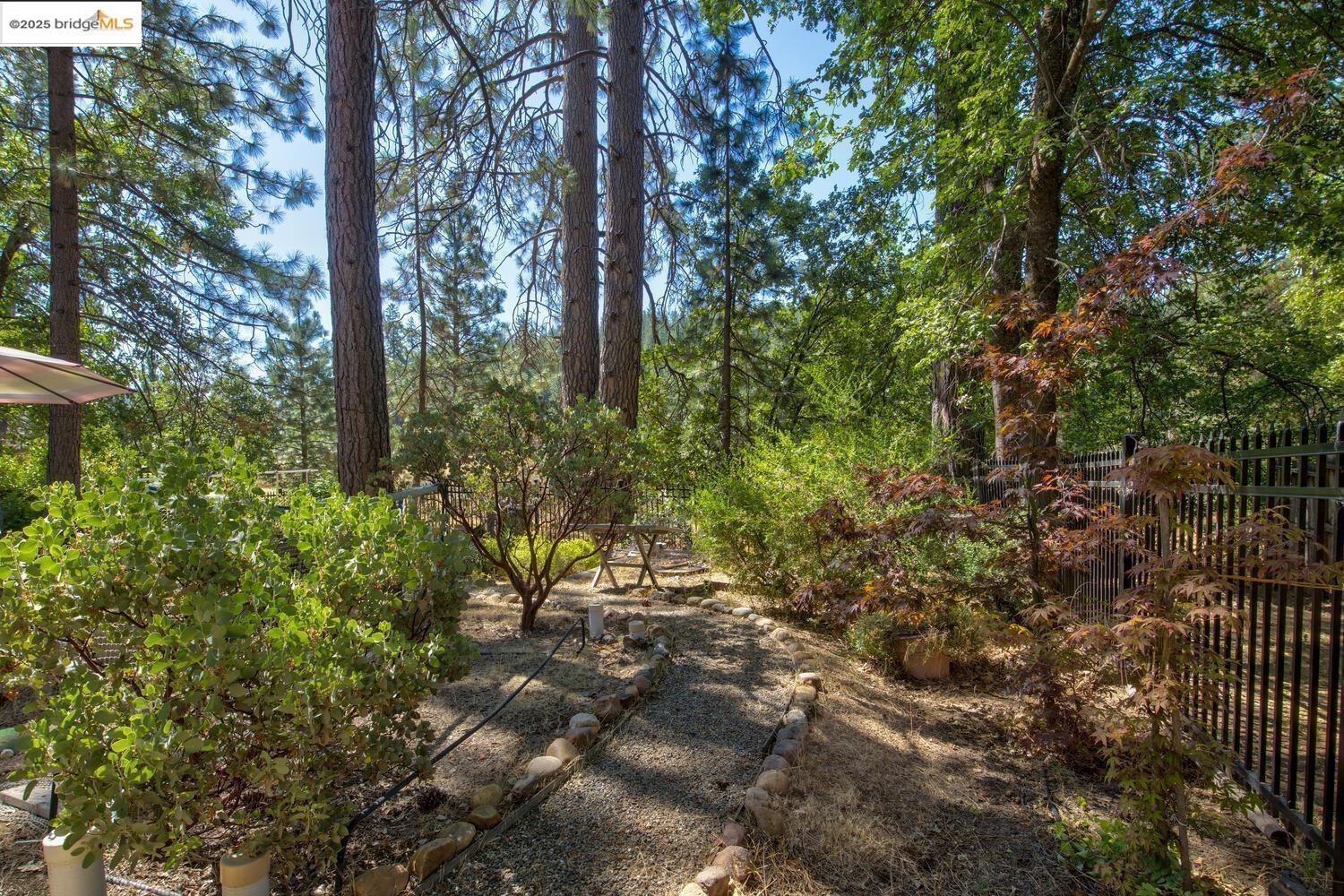 105 Avery Sheep Ranch Road Avery, CA 95224 - Photo 12 of 59