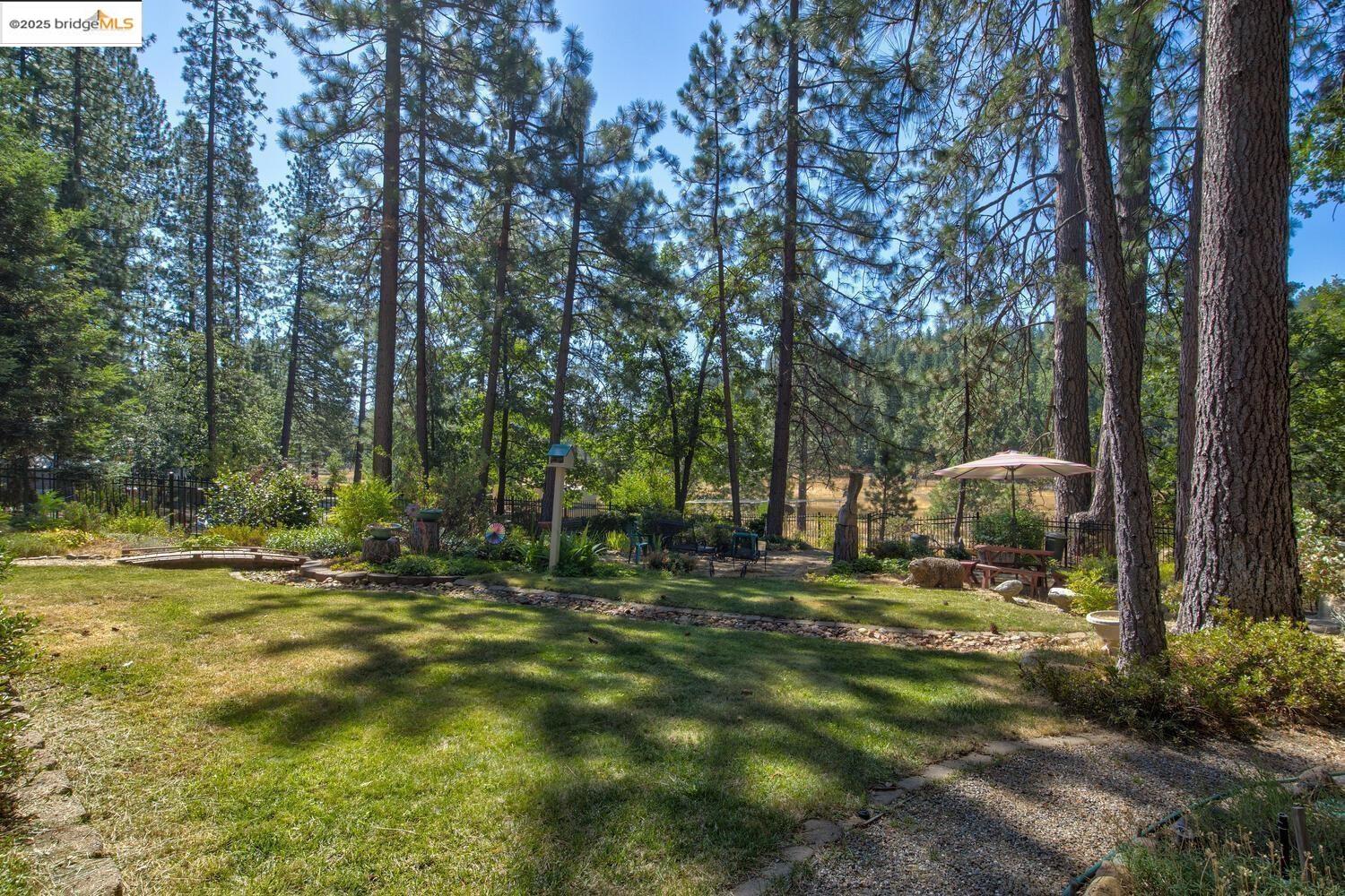 105 Avery Sheep Ranch Road Avery, CA 95224 - Photo 45 of 59