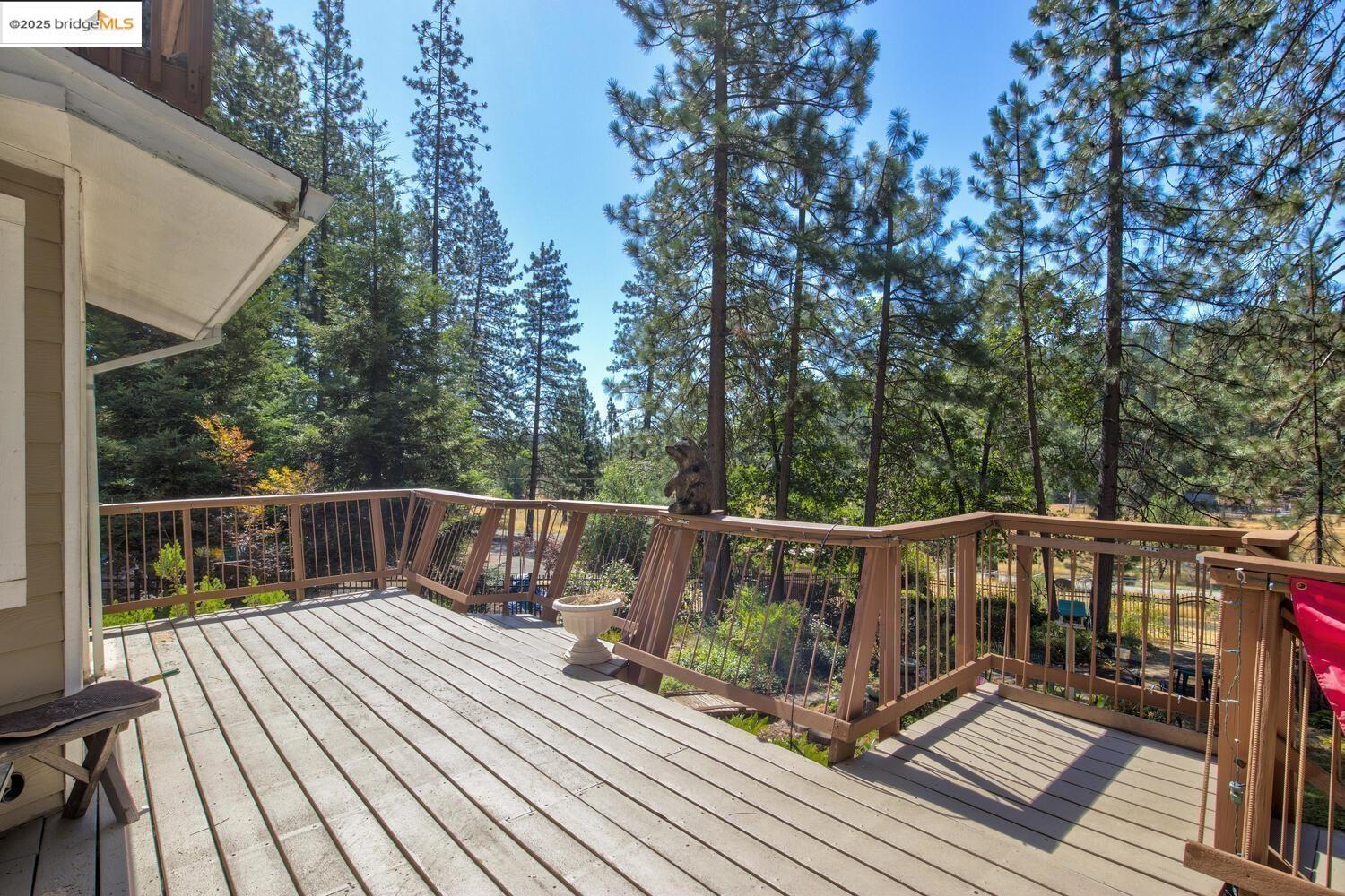 105 Avery Sheep Ranch Road Avery, CA 95224 - Photo 46 of 59