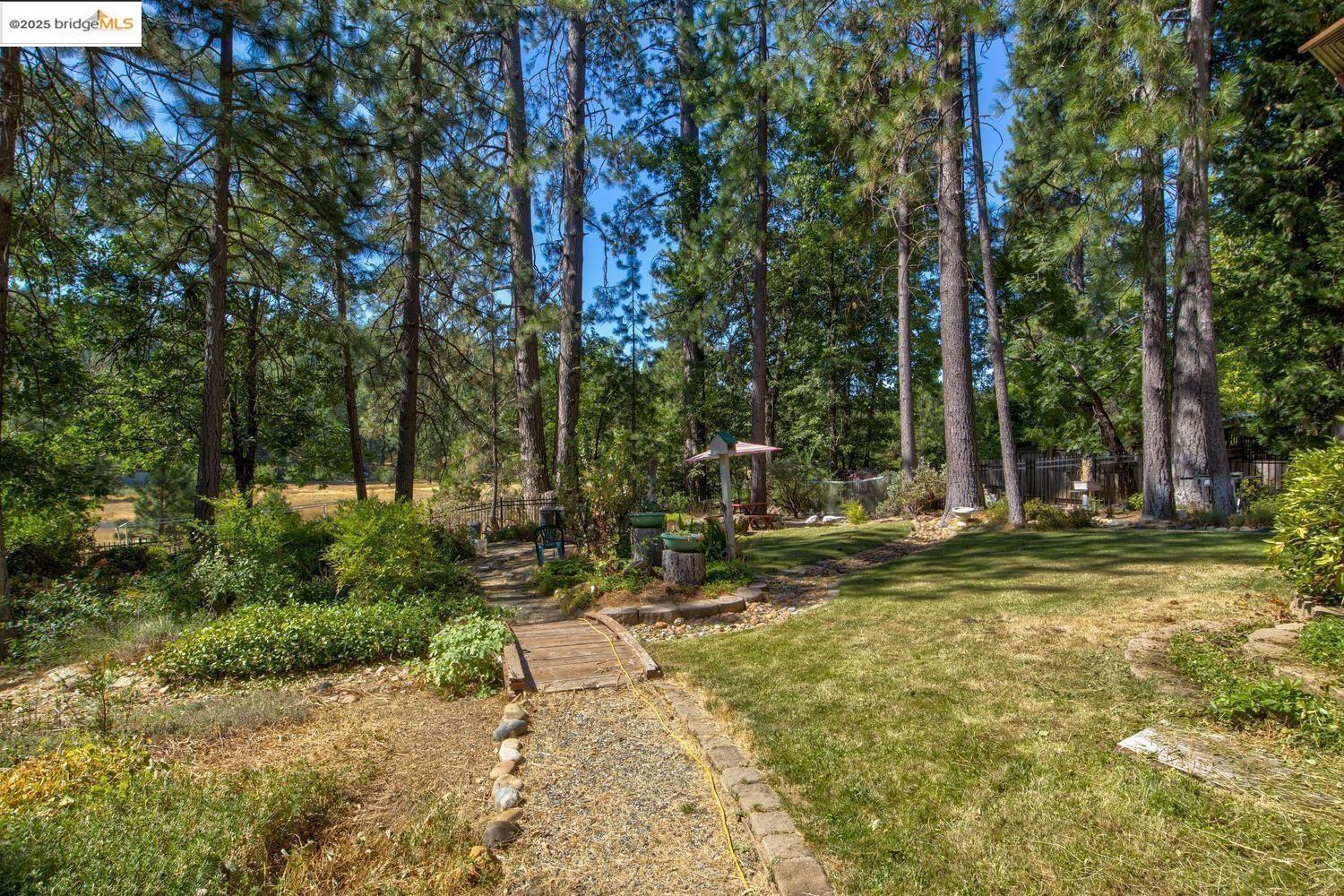 105 Avery Sheep Ranch Road Avery, CA 95224 - Photo 49 of 59