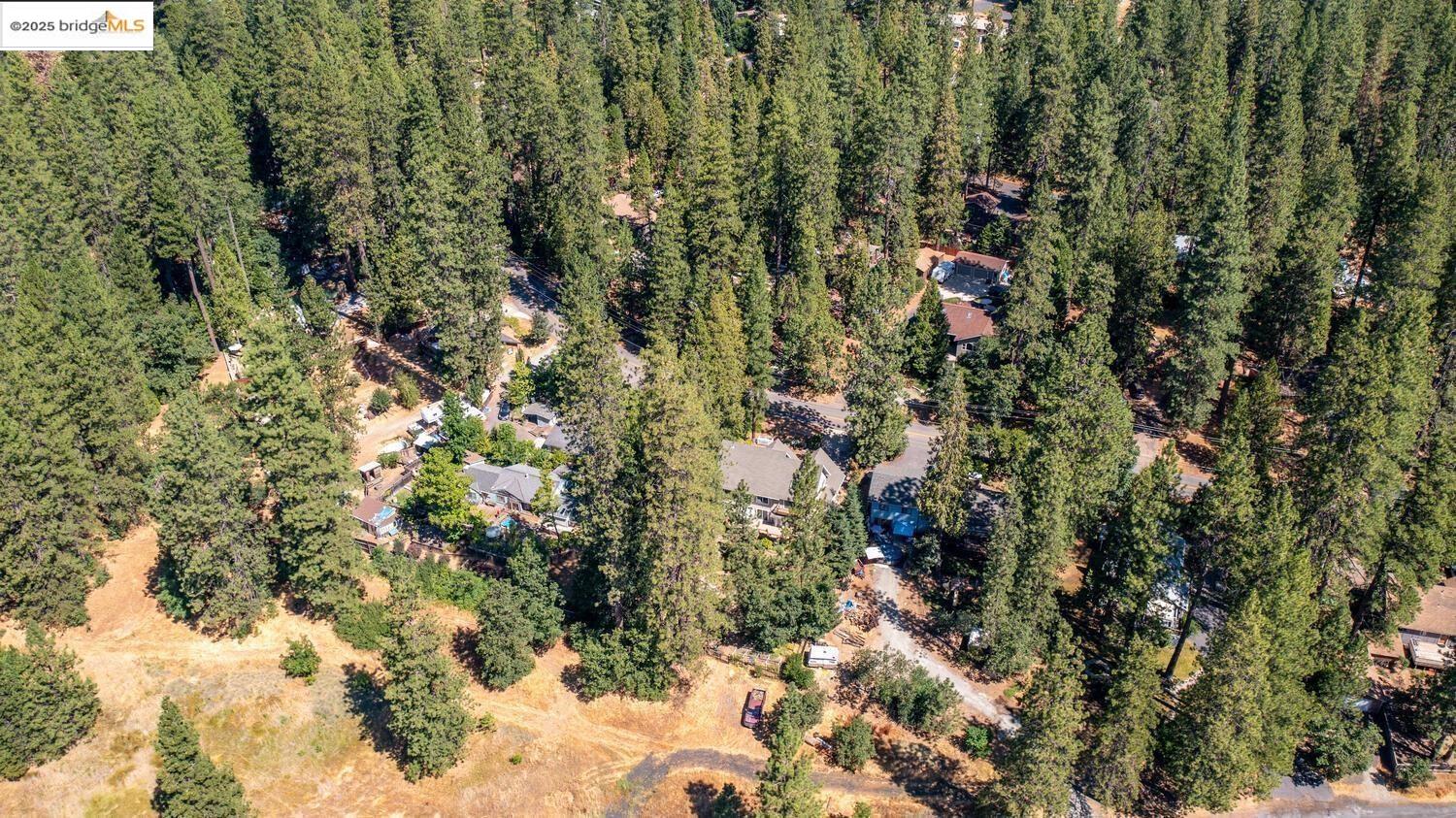 105 Avery Sheep Ranch Road Avery, CA 95224 - Photo 54 of 59