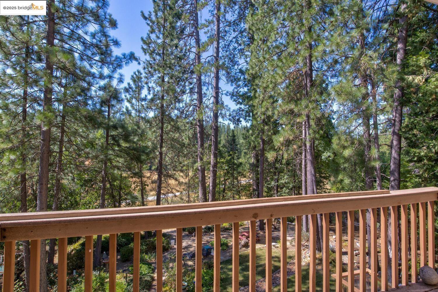 105 Avery Sheep Ranch Road Avery, CA 95224 - Photo 8 of 59