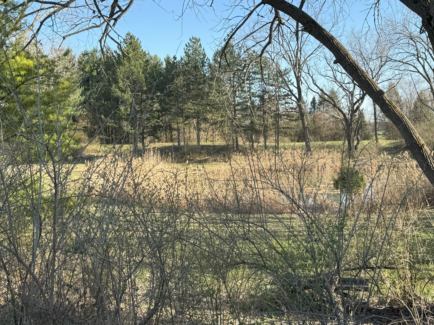 17N753 Widmayer Road Hampshire, IL 60140 - Photo 27 of 30