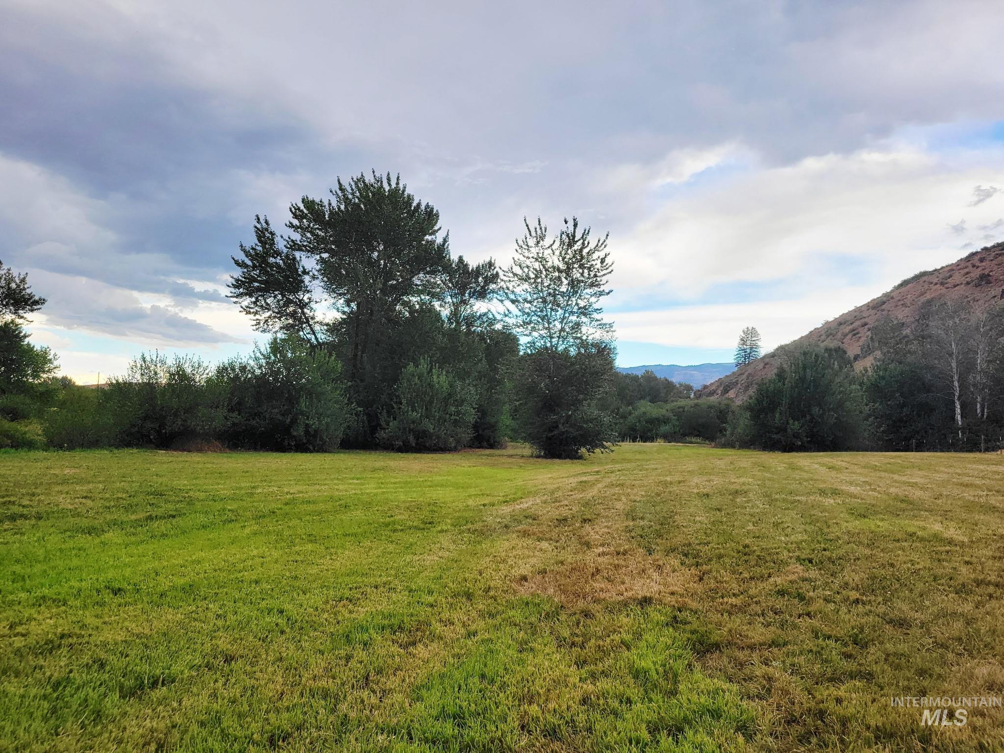 2141 Jackson Creek Road Council, ID 83612 - Photo 34 of 45 Mountain views from the field