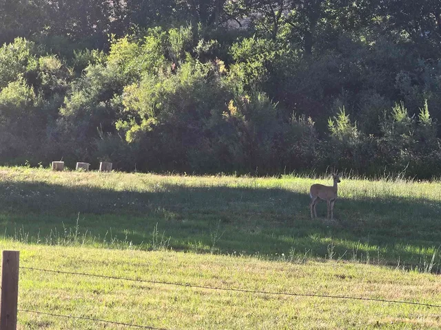 $1,100,000 | 2141 Jackson Creek Road, Council, ID 83612