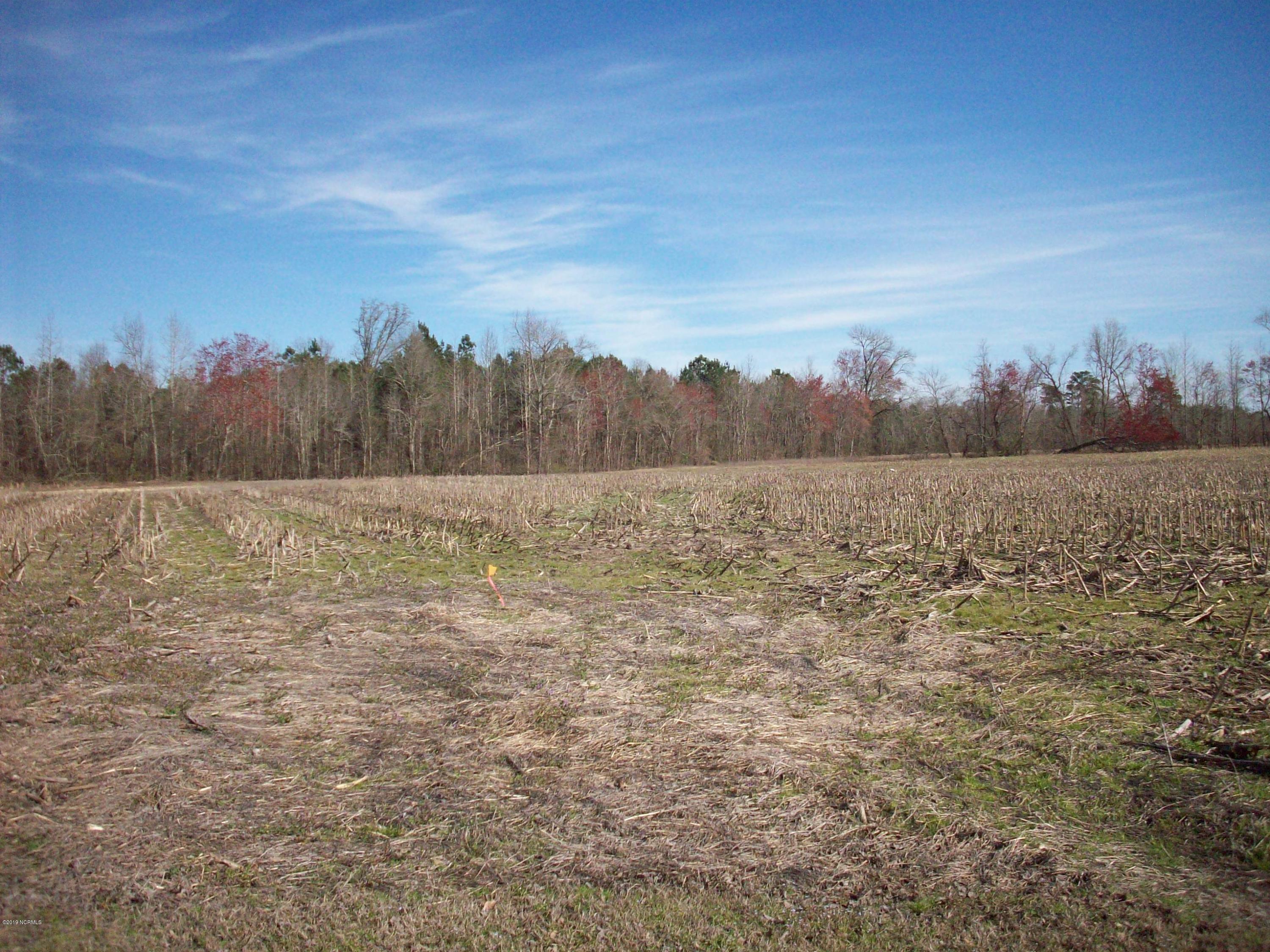 1933 Lovette Road Lumberton, NC 28358 - Photo 4 of 7 100_1450