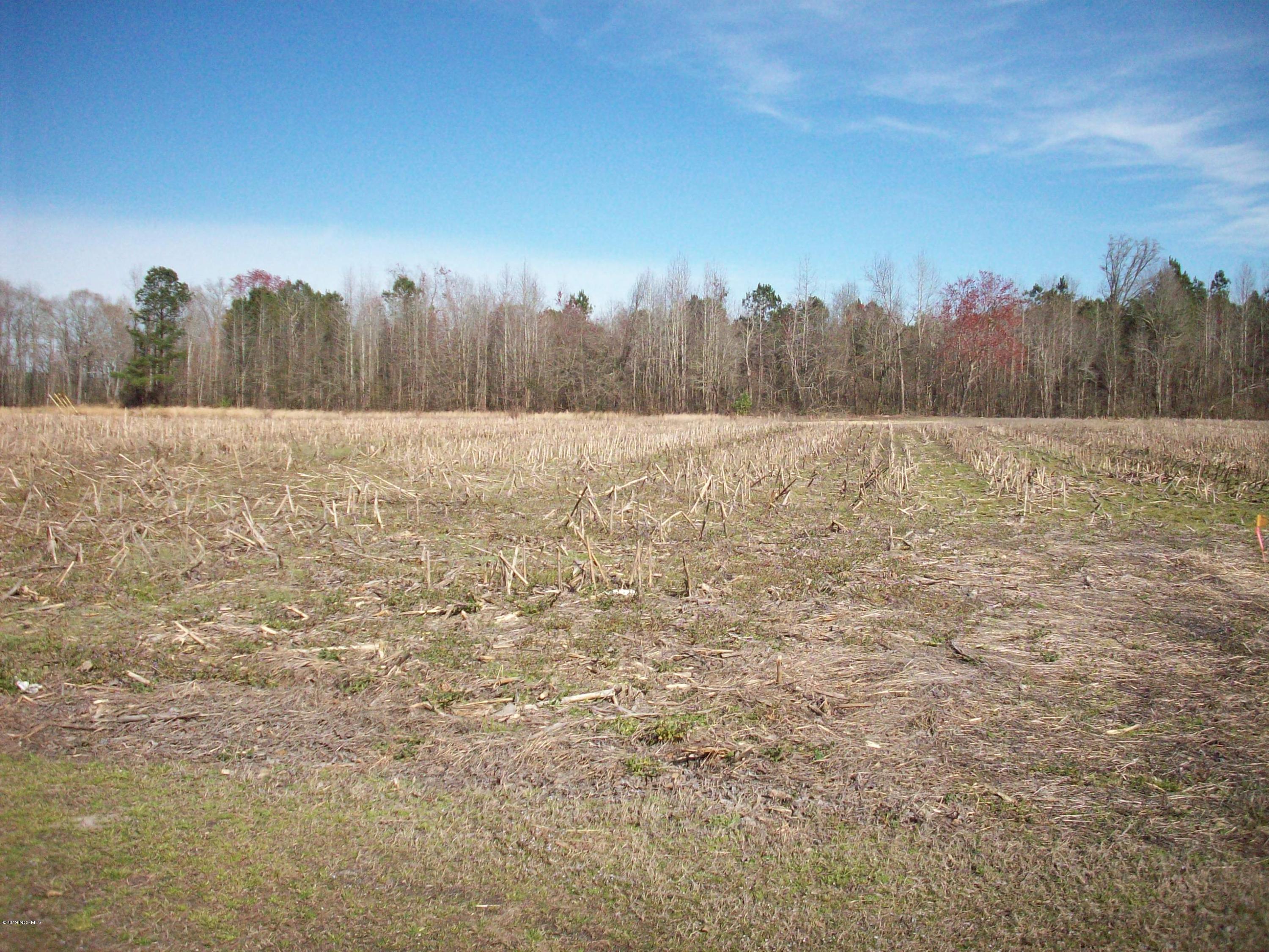 1933 Lovette Road Lumberton, NC 28358 - Photo 5 of 7 100_1451