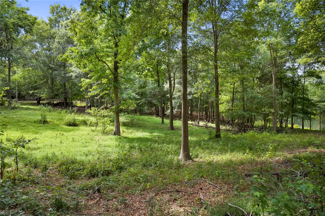 1024 Trump Pointe Anderson, SC 29626 - Photo 47 of 49