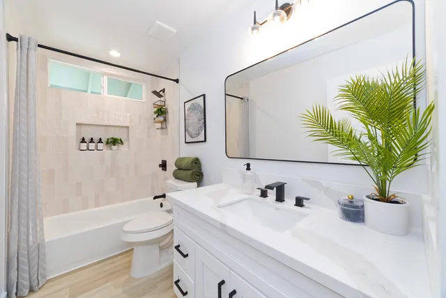 a bathroom with a potted plant and a shower