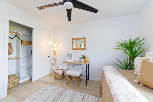 a living room with furniture and a potted plant