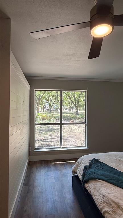 8513 Ravenswood Road Granbury, TX 76049 - Photo 15 of 21 Ceiling fan with integrated lighting, wood-finish flooring, accent shiplap wall, and window with views of the backyard landscaping