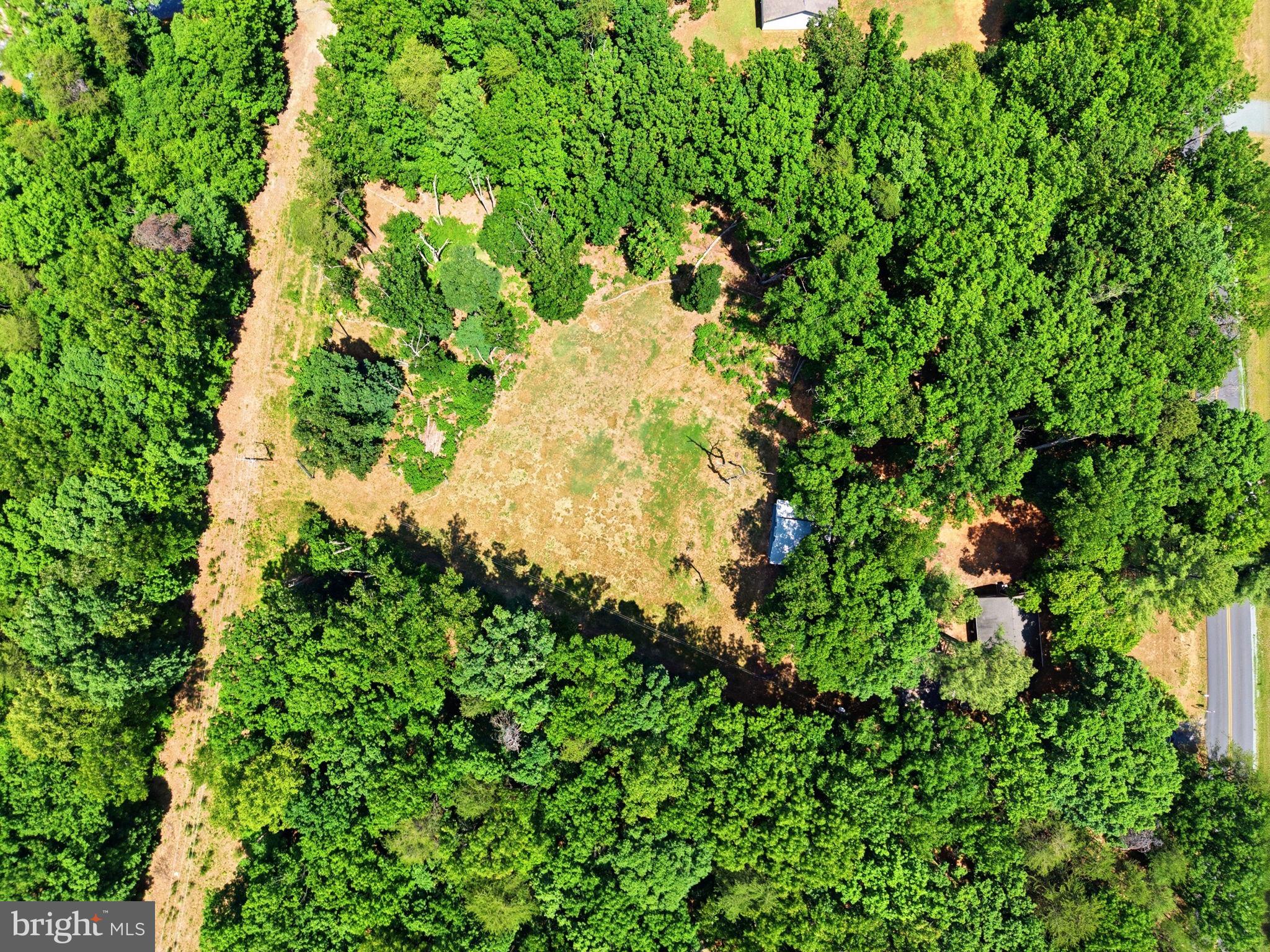 483 Haden Martin Road Palmyra, VA 22963 - Photo 17 of 18