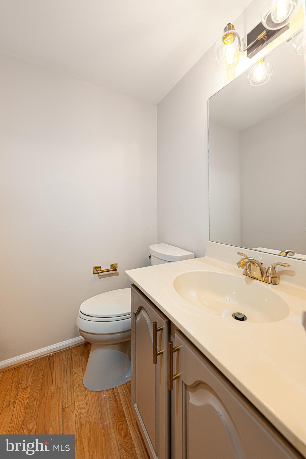 9596 Oakington Drive Fairfax Station, VA 22039 - Photo 20 of 52 a bathroom with a sink and a toilet