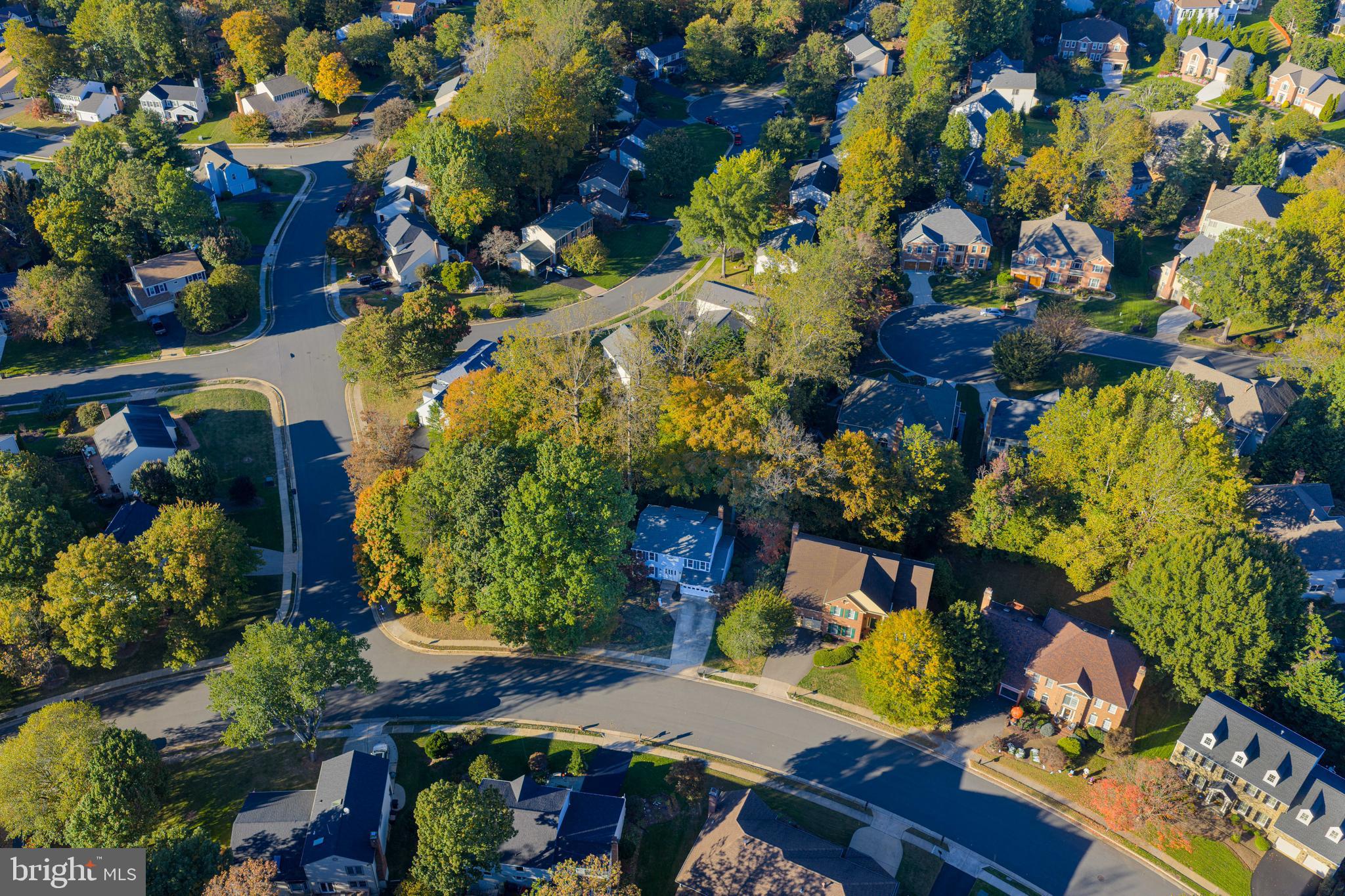 9596 Oakington Drive Fairfax Station, VA 22039 - Photo 43 of 52 a view of a yard with plants