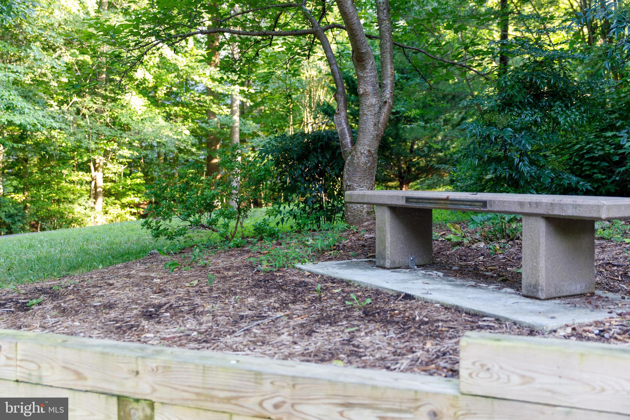 9596 Oakington Drive Fairfax Station, VA 22039 - Photo 51 of 52 a view of a garden with plants and large trees