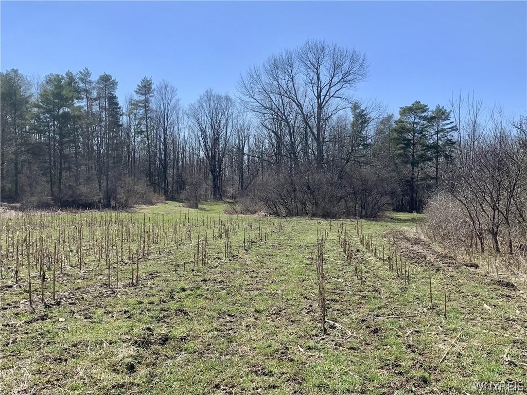 6320 Stinson Road Arcade, NY 14009 - Photo 2 of 3