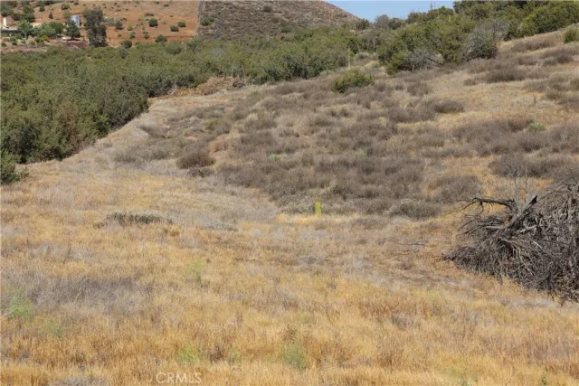 a view of a dry yard