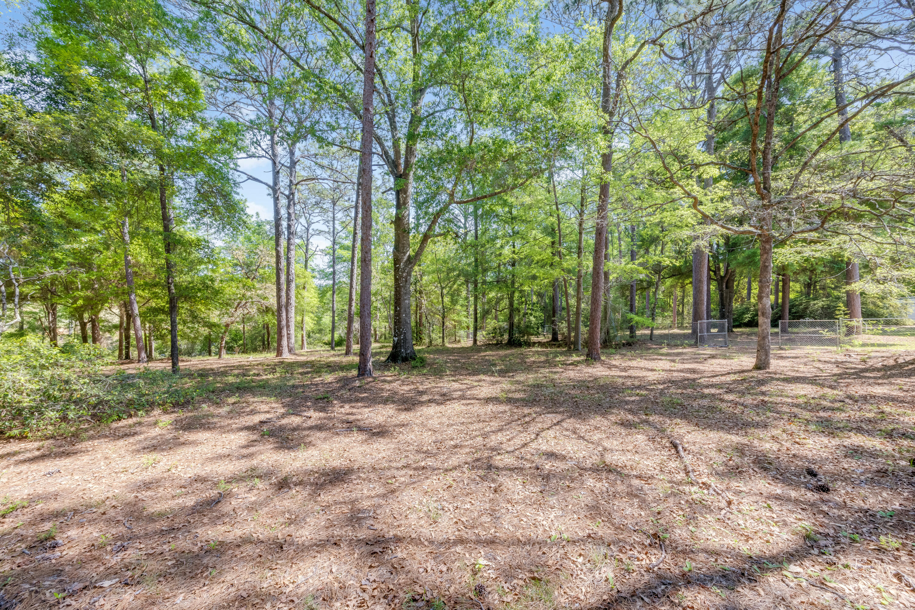3607 Poverty Creek Road Crestview, FL 32539 - Photo 35 of 42 a view of outdoor space with trees