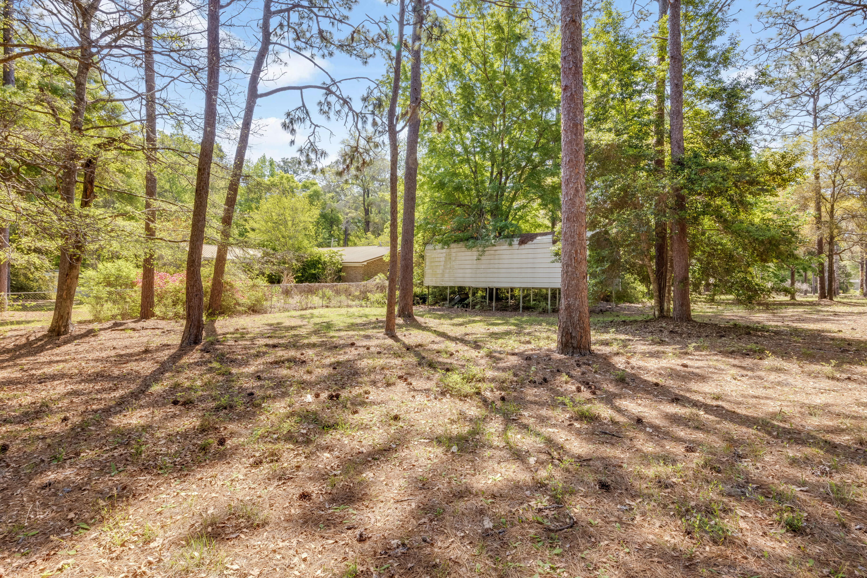 3607 Poverty Creek Road Crestview, FL 32539 - Photo 36 of 42 a view of a yard with trees