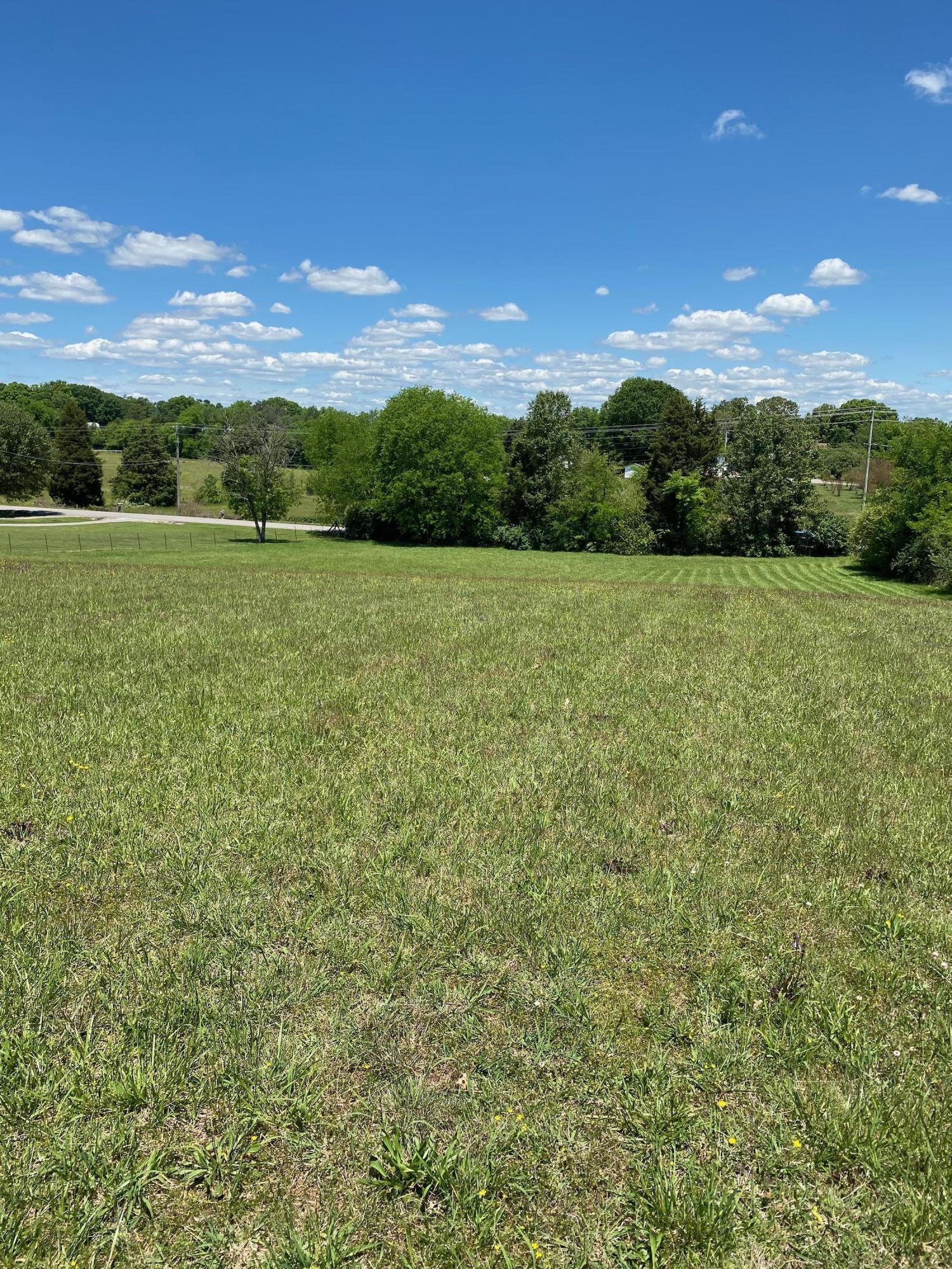 Lot 2 Grey Ridge Road Maryville, TN 37801 - Photo 3 of 10 IMG-0288