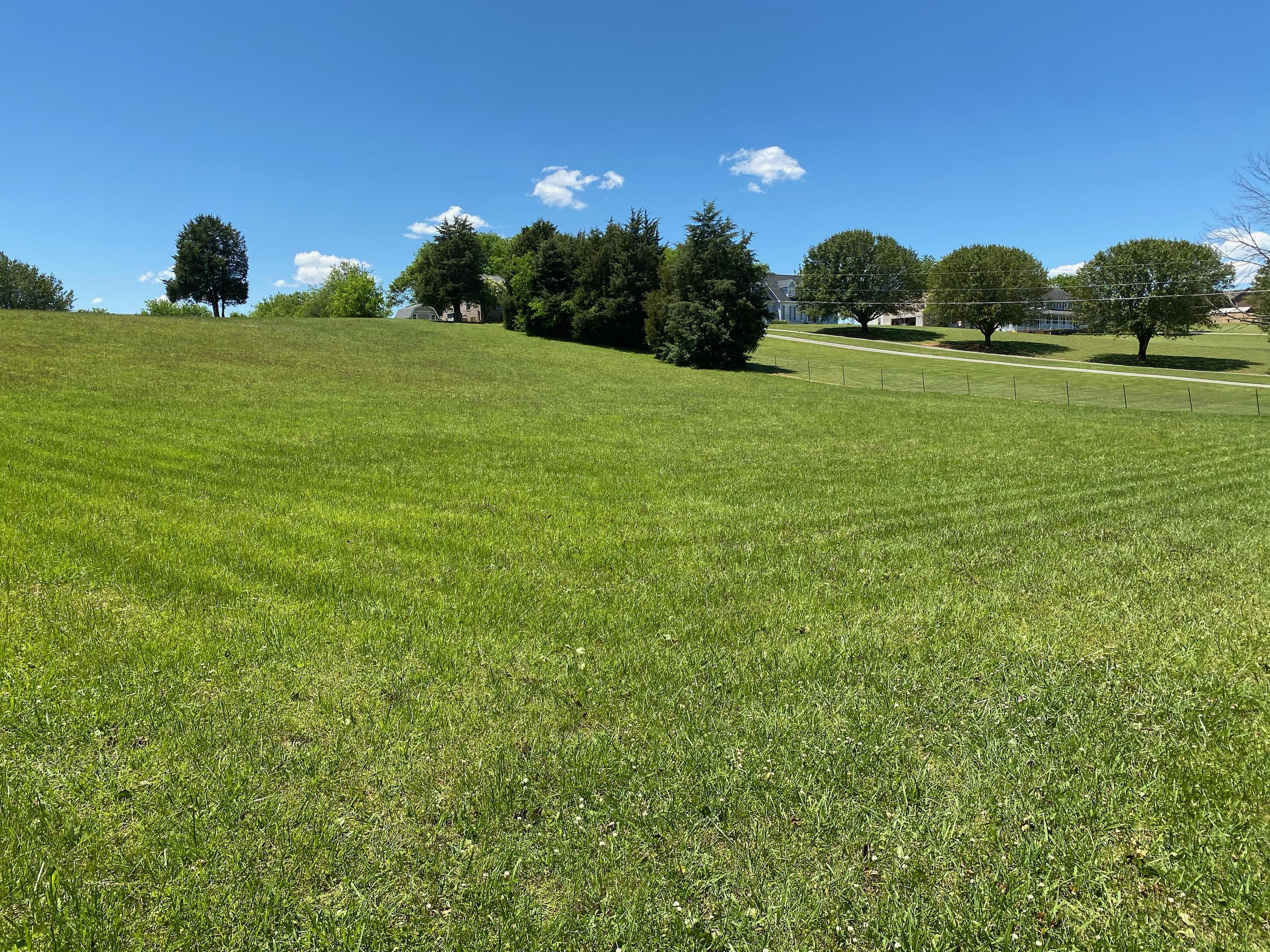 Lot 2 Grey Ridge Road Maryville, TN 37801 - Photo 5 of 10 IMG-0290
