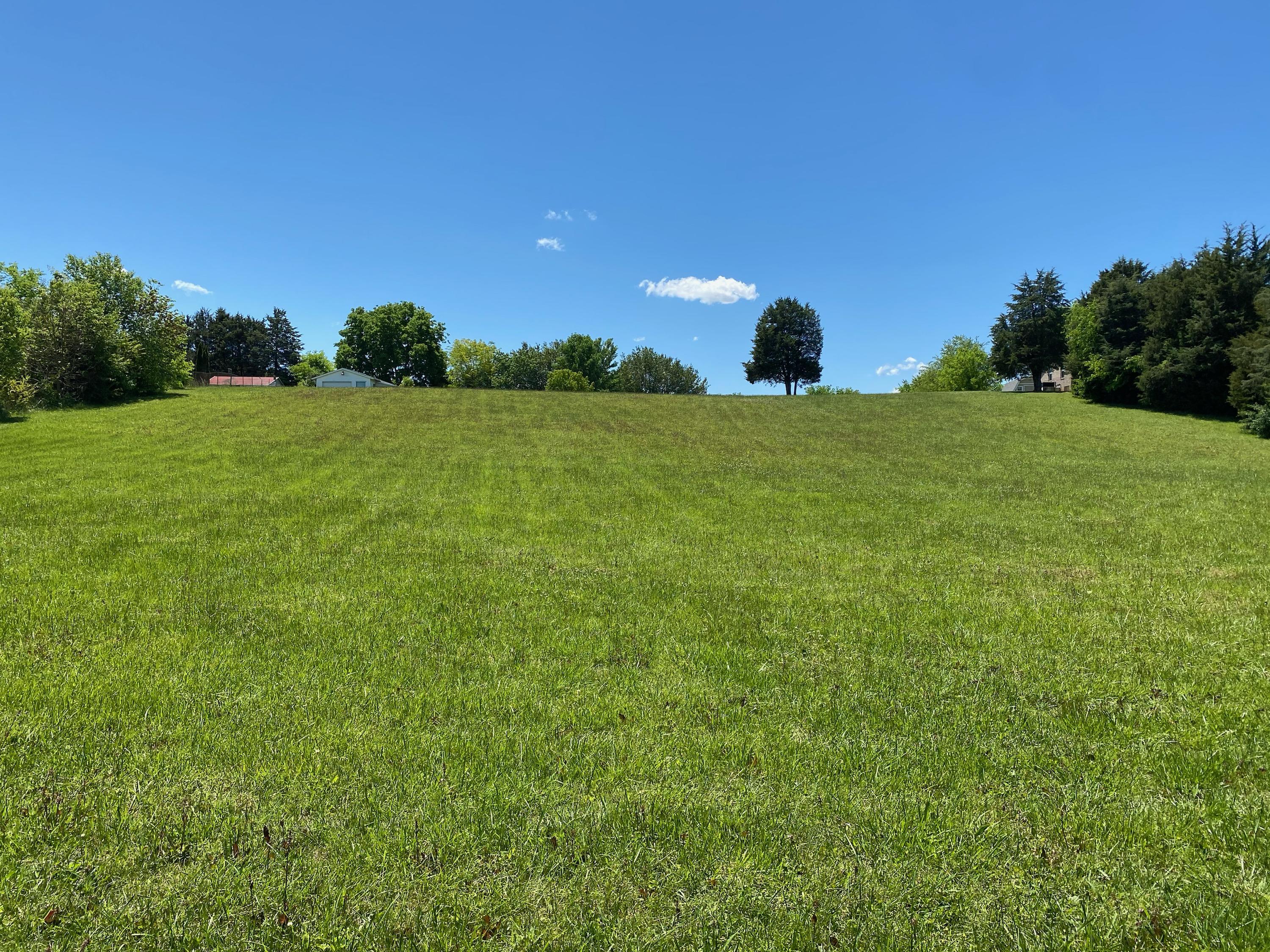 Lot 2 Grey Ridge Road Maryville, TN 37801 - Photo 6 of 10 IMG-0292