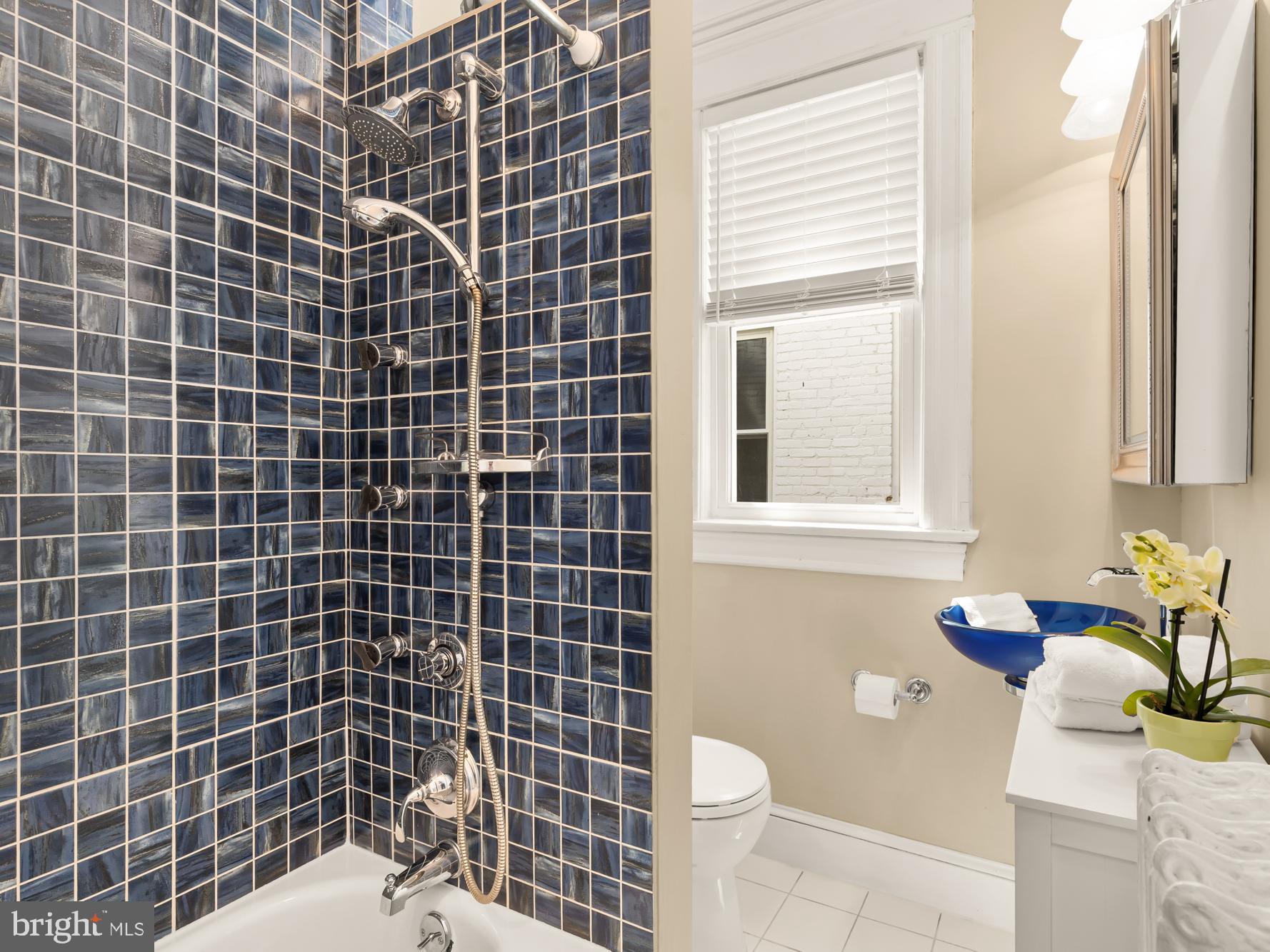 1716 Euclid Street Northwest Washington, DC 20009 - Photo 33 of 54 a bathroom with a sink toilet and shower