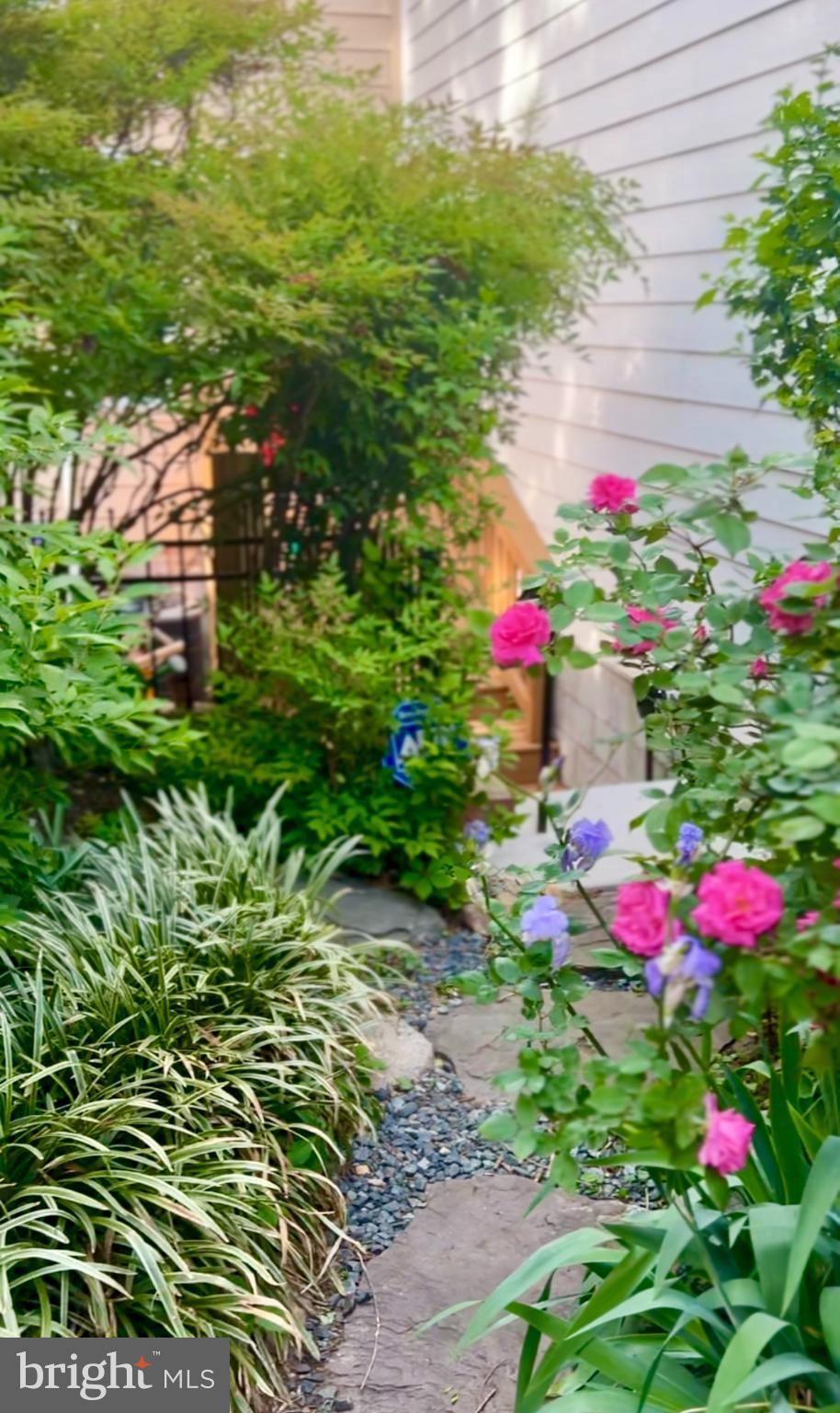 1716 Euclid Street Northwest Washington, DC 20009 - Photo 49 of 54 a view of a flower