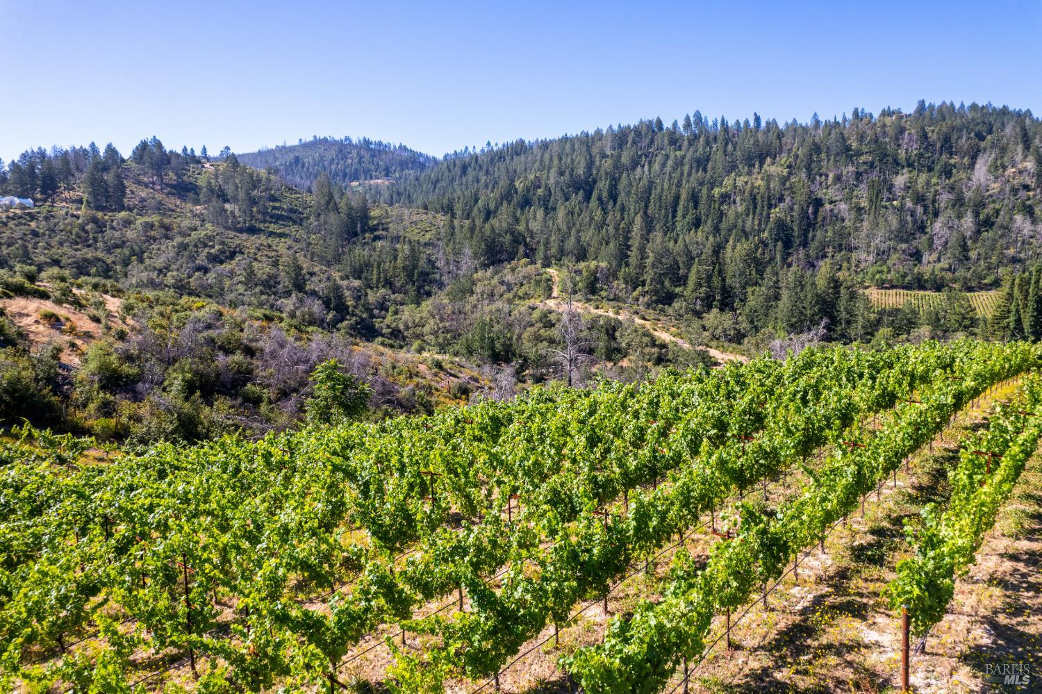 0 Diamond Mountain Road Calistoga, CA 94515 - Photo 2 of 19