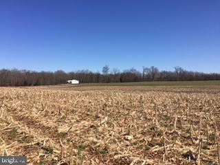 4501 Teeter Road Taneytown, MD 21787 - Photo 6 of 10
